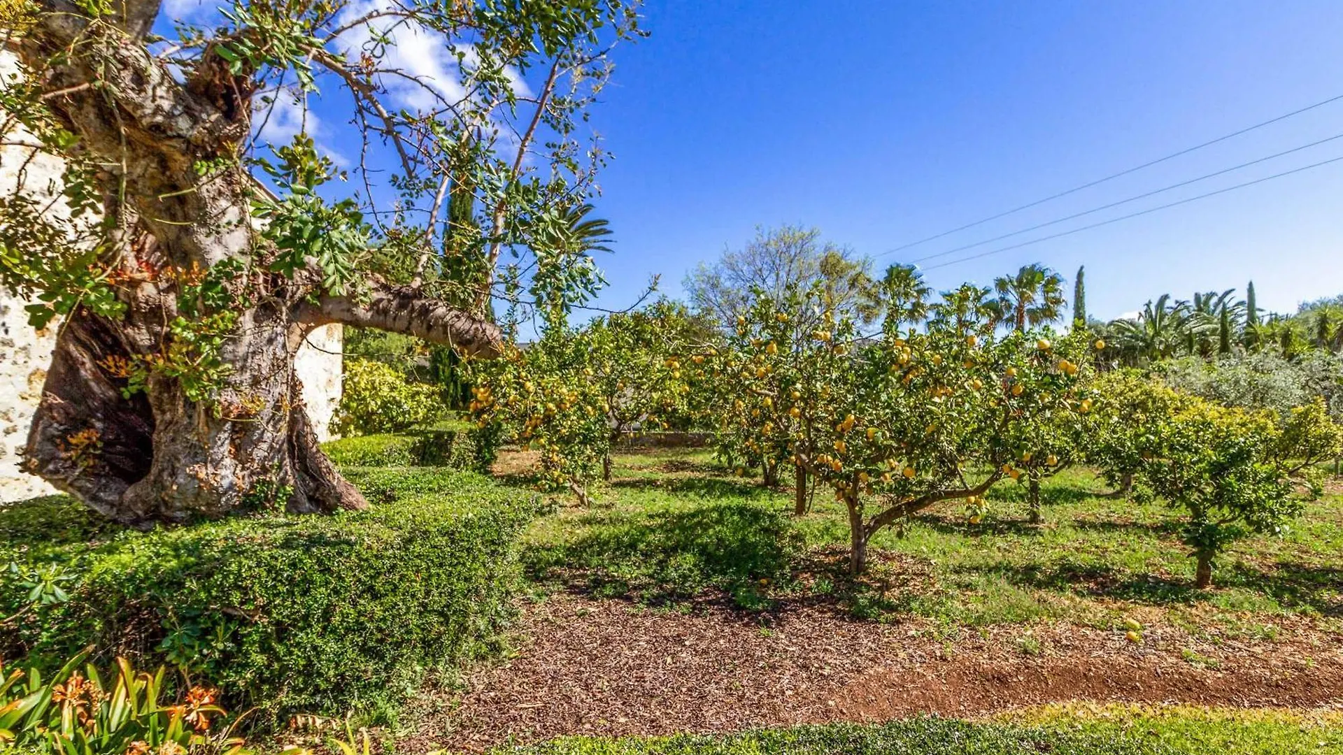 Villa Finca Martorell Pollenca