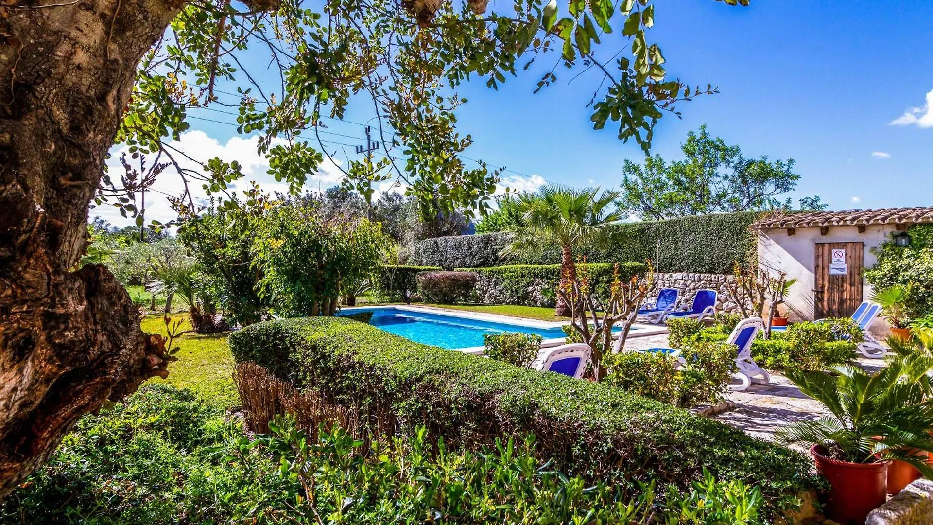 فيلة Finca Martorell بويينسا إسبانيا
