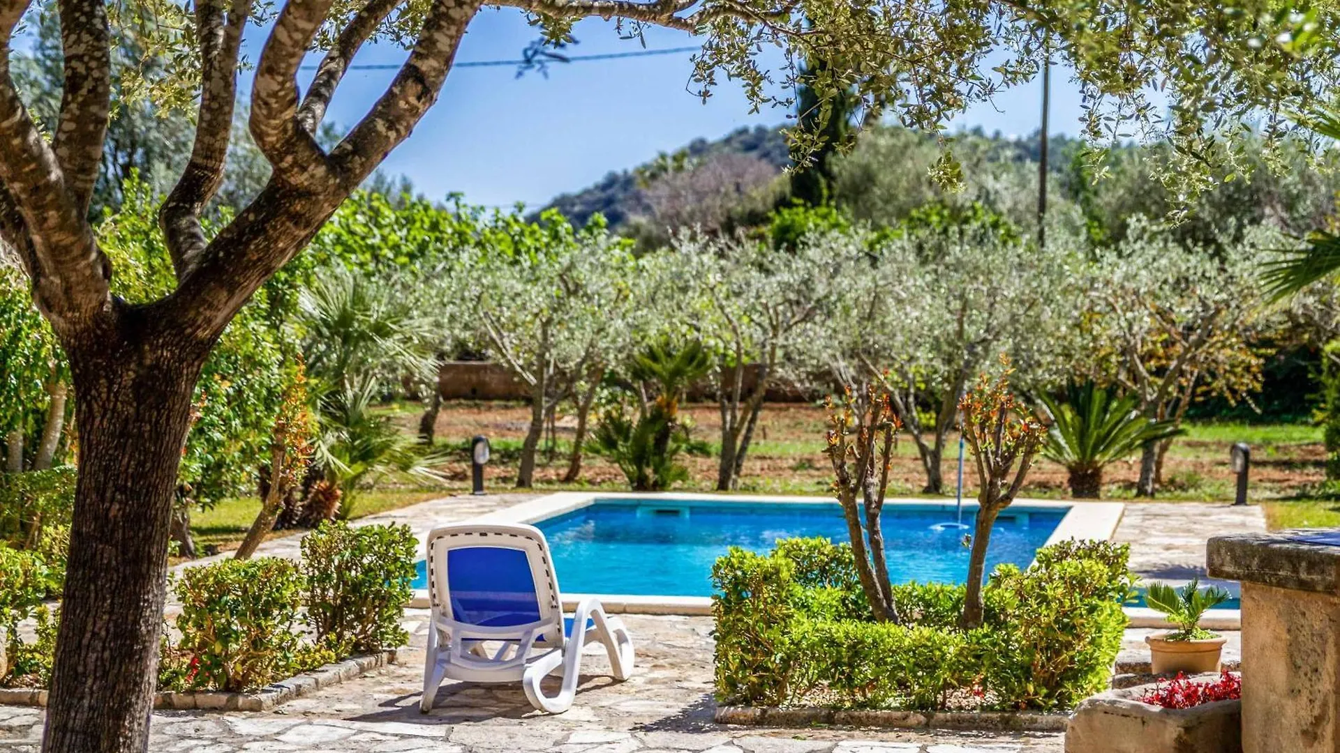 Finca Martorell بويينسا